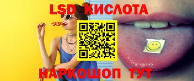 индика Кингисепп