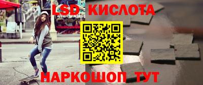 индика Кингисепп