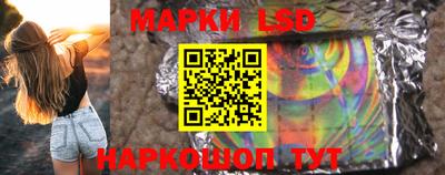 индика Кингисепп