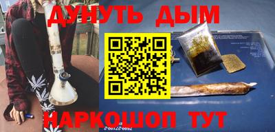 индика Кингисепп