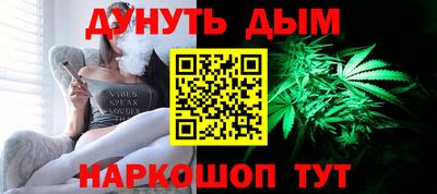 индика Кингисепп