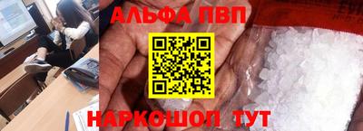индика Кингисепп