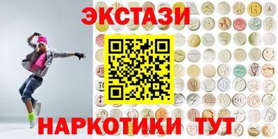 индика Кингисепп