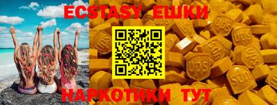 индика Кингисепп