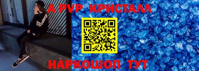 индика Кингисепп