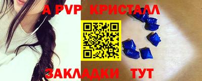 индика Кингисепп