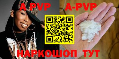индика Кингисепп