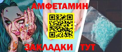 индика Кингисепп