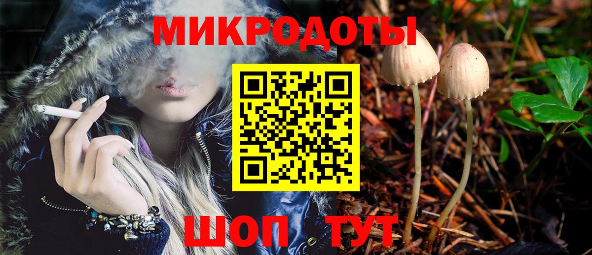 Псилоцибиновые грибы мицелий Чистополь