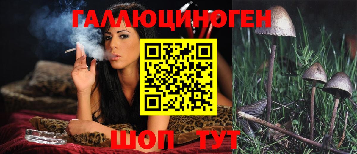 Галлюциногенные грибы MAGIC MUSHROOMS  Вход с VPN  Чистополь 